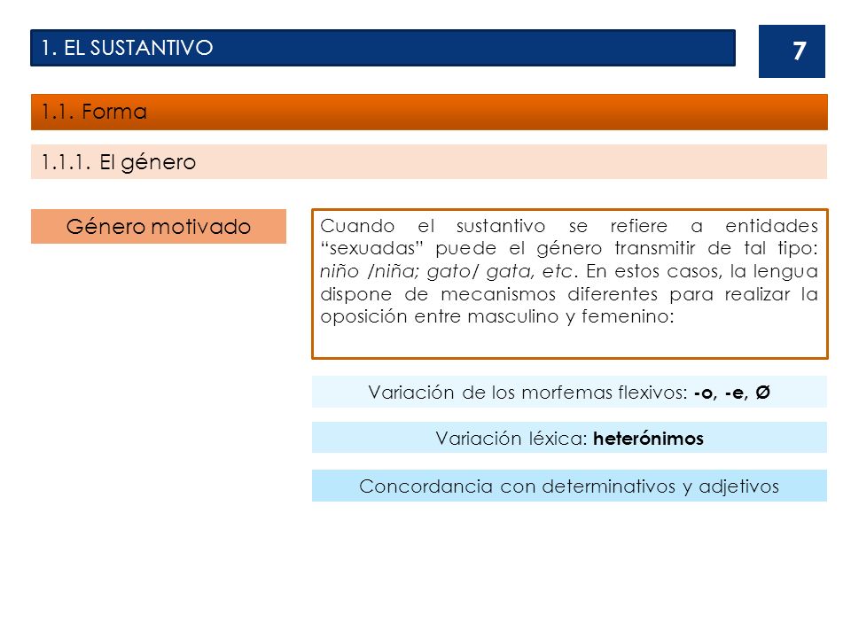 1. EL SUSTANTIVO 1.1. Forma El género Género motivado
