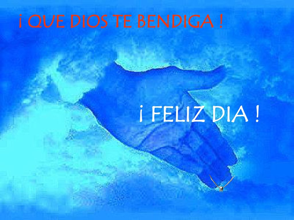 ¡ QUE DIOS TE BENDIGA ! ¡ FELIZ DIA !