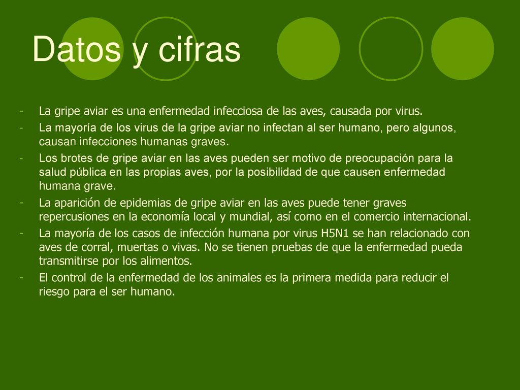 Datos y cifras La gripe aviar es una enfermedad infecciosa de las aves, causada por virus.