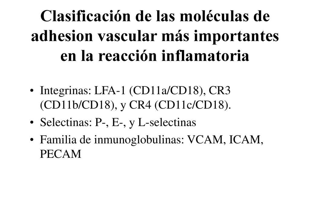 Clasificación de las moléculas de adhesion vascular más importantes en la reacción inflamatoria