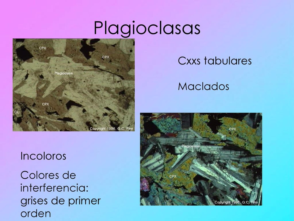 Plagioclasas Cxxs tabulares Maclados Incoloros