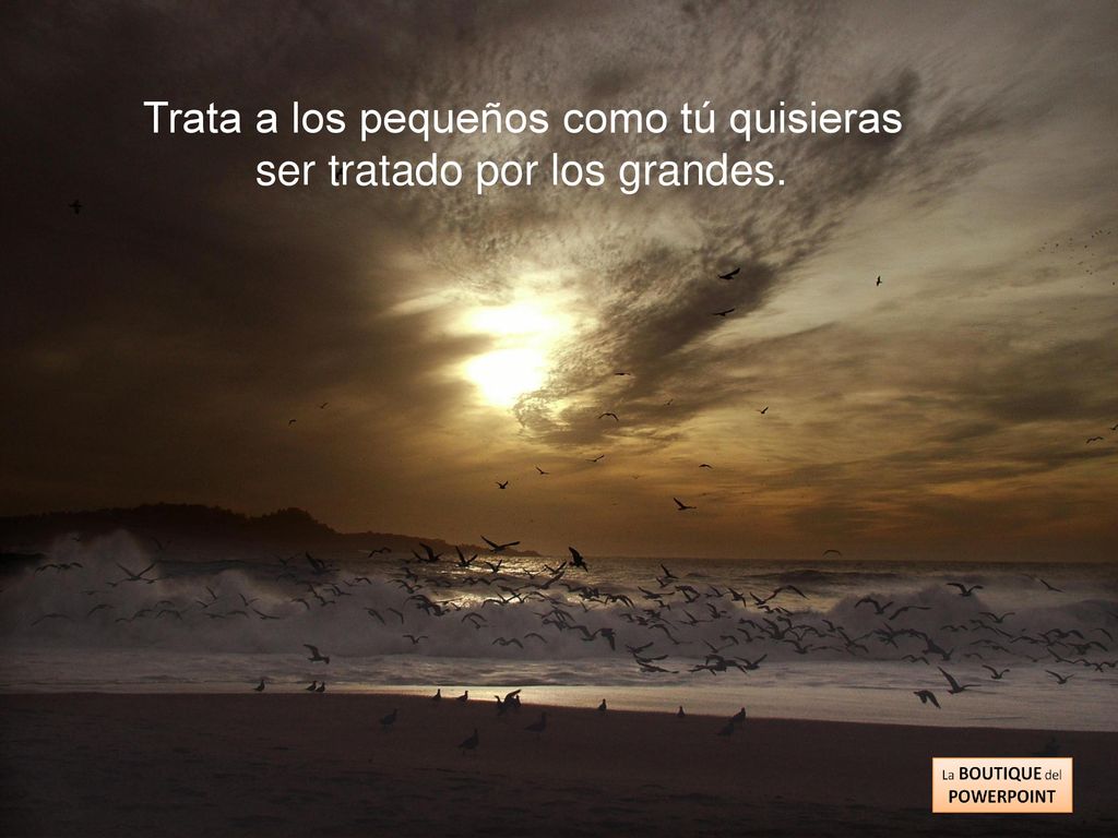Trata a los pequeños como tú quisieras ser tratado por los grandes.