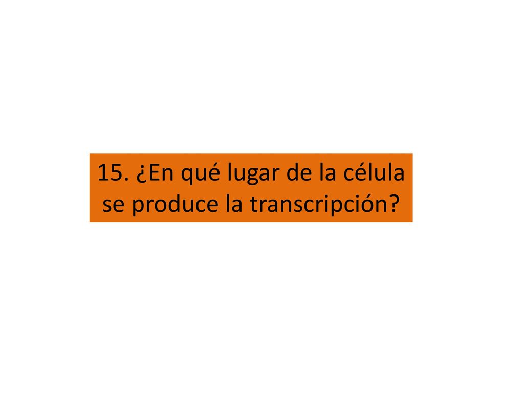 15. ¿En qué lugar de la célula se produce la transcripción