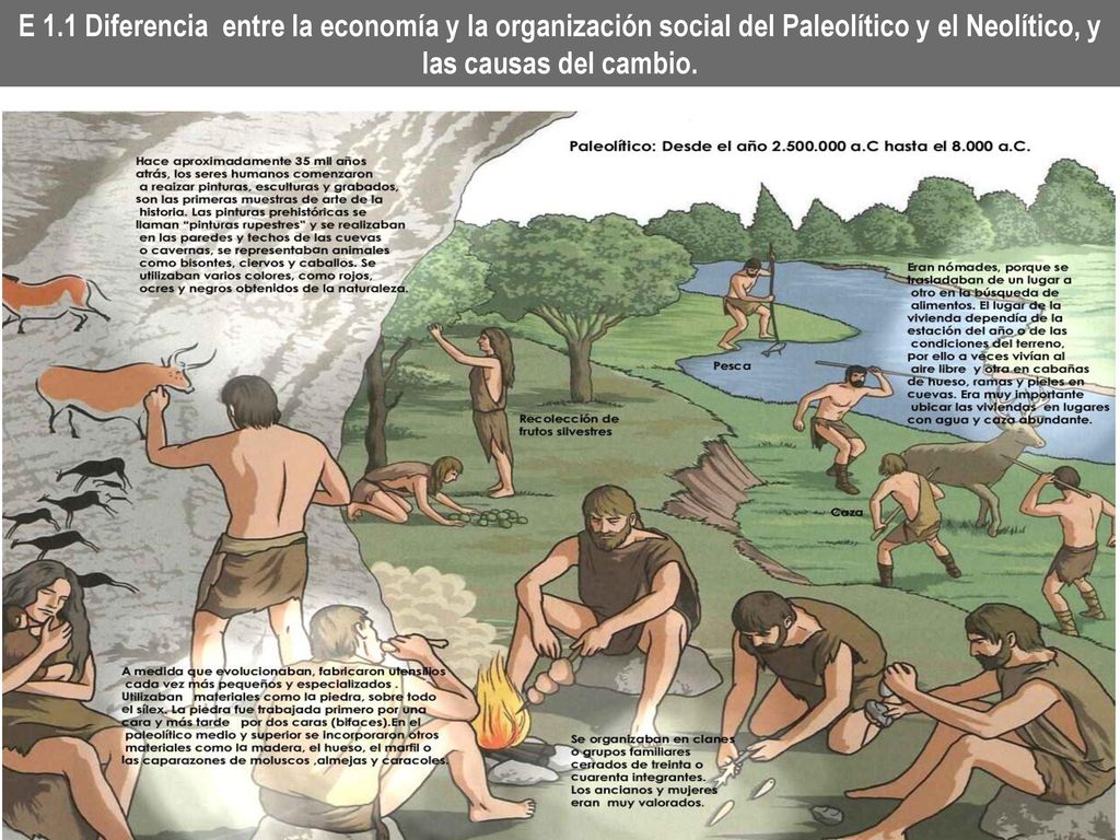 E 1.1 Diferencia entre la economía y la organización social del Paleolítico y el Neolítico, y las causas del cambio.