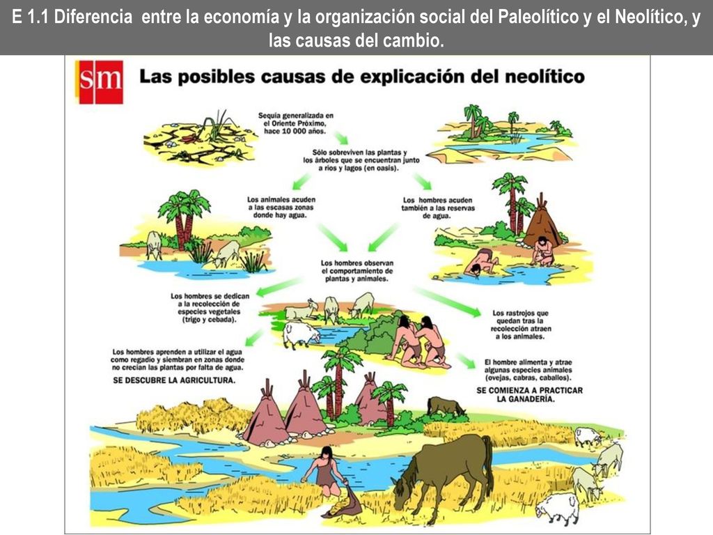 E 1.1 Diferencia entre la economía y la organización social del Paleolítico y el Neolítico, y las causas del cambio.