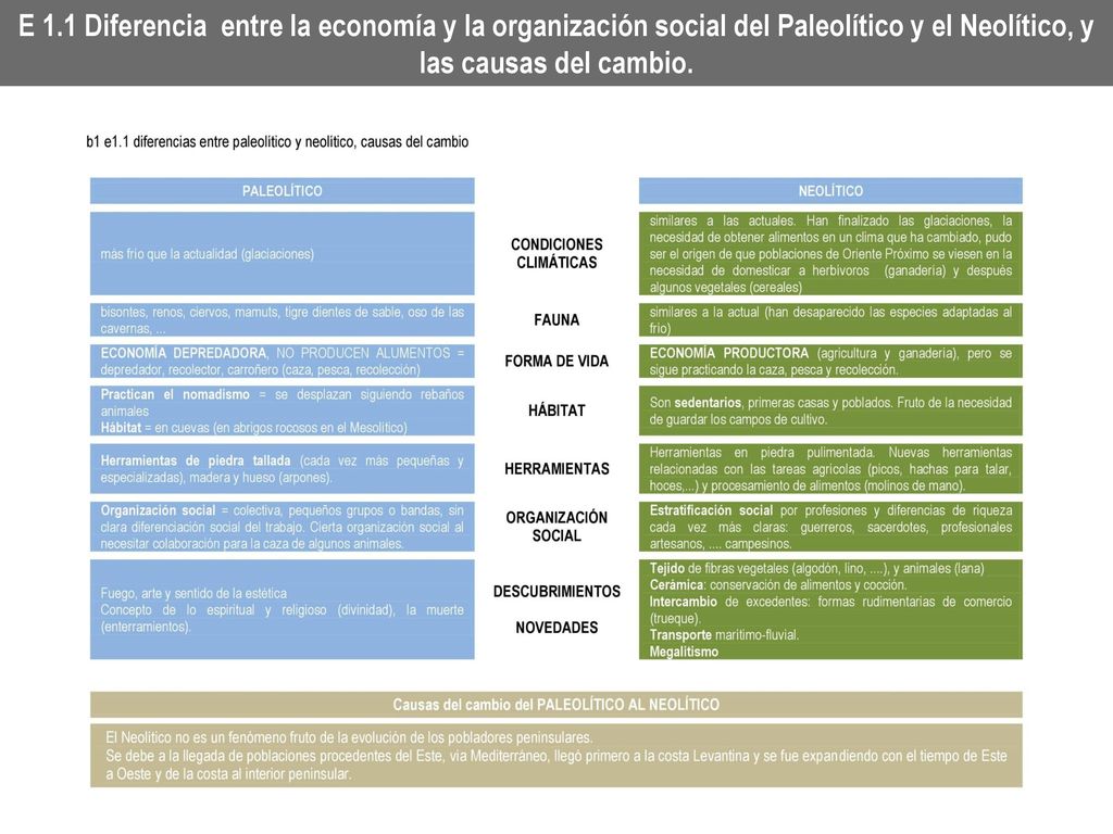 E 1.1 Diferencia entre la economía y la organización social del Paleolítico y el Neolítico, y las causas del cambio.
