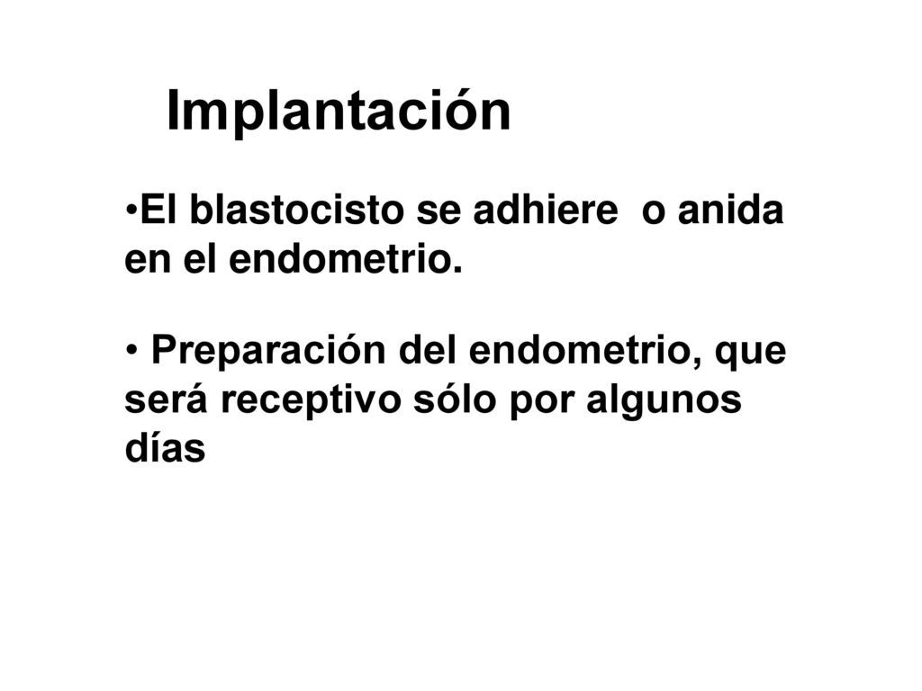 Implantación El blastocisto se adhiere o anida en el endometrio.