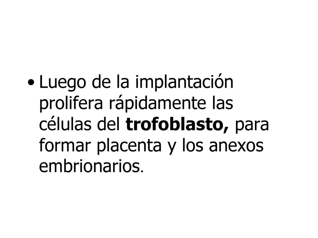 Luego de la implantación prolifera rápidamente las células del trofoblasto, para formar placenta y los anexos embrionarios.