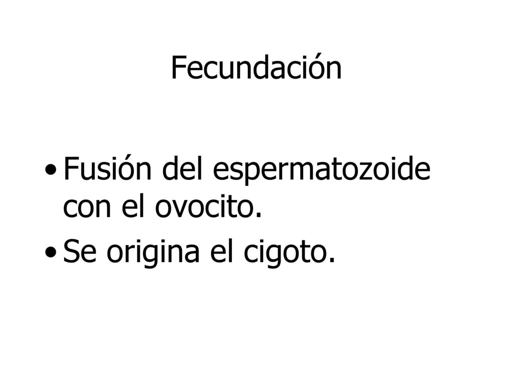 Fecundación Fusión del espermatozoide con el ovocito. Se origina el cigoto.