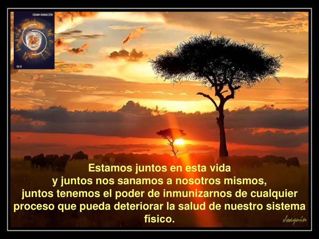 Estamos juntos en esta vida y juntos nos sanamos a nosotros mismos, juntos tenemos el poder de inmunizarnos de cualquier proceso que pueda deteriorar la salud de nuestro sistema físico.