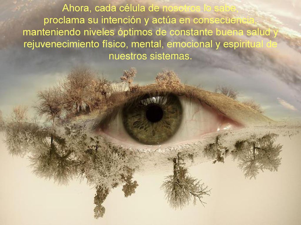 Ahora, cada célula de nosotros lo sabe, proclama su intención y actúa en consecuencia, manteniendo niveles óptimos de constante buena salud y rejuvenecimiento físico, mental, emocional y espiritual de nuestros sistemas.