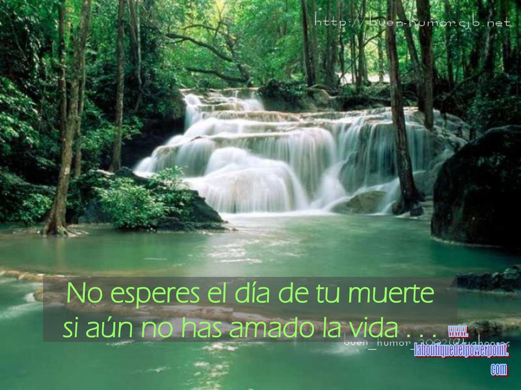 No esperes el día de tu muerte si aún no has amado la vida . . .