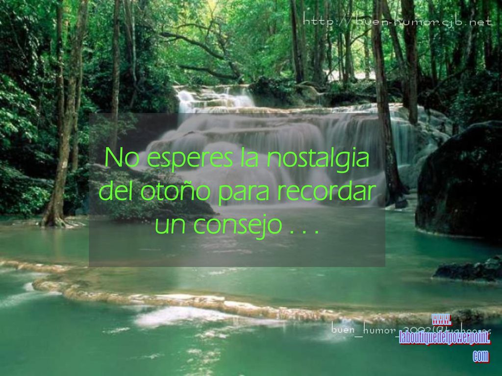 No esperes la nostalgia del otoño para recordar un consejo . . .