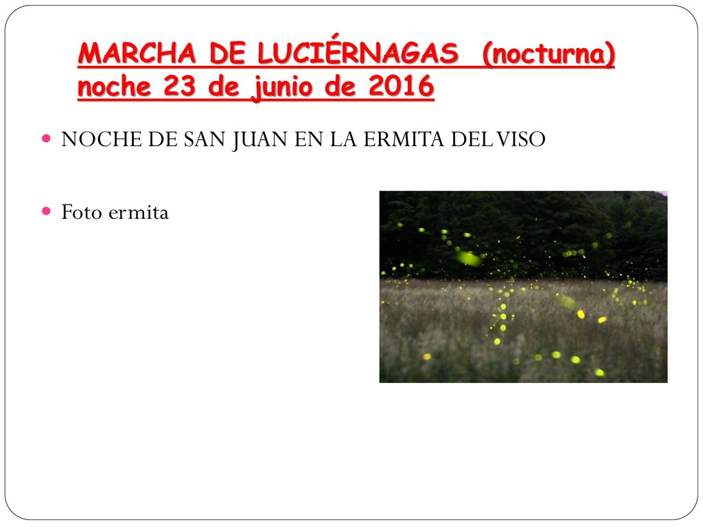 MARCHA DE LUCIÉRNAGAS (nocturna) noche 23 de junio de 2016