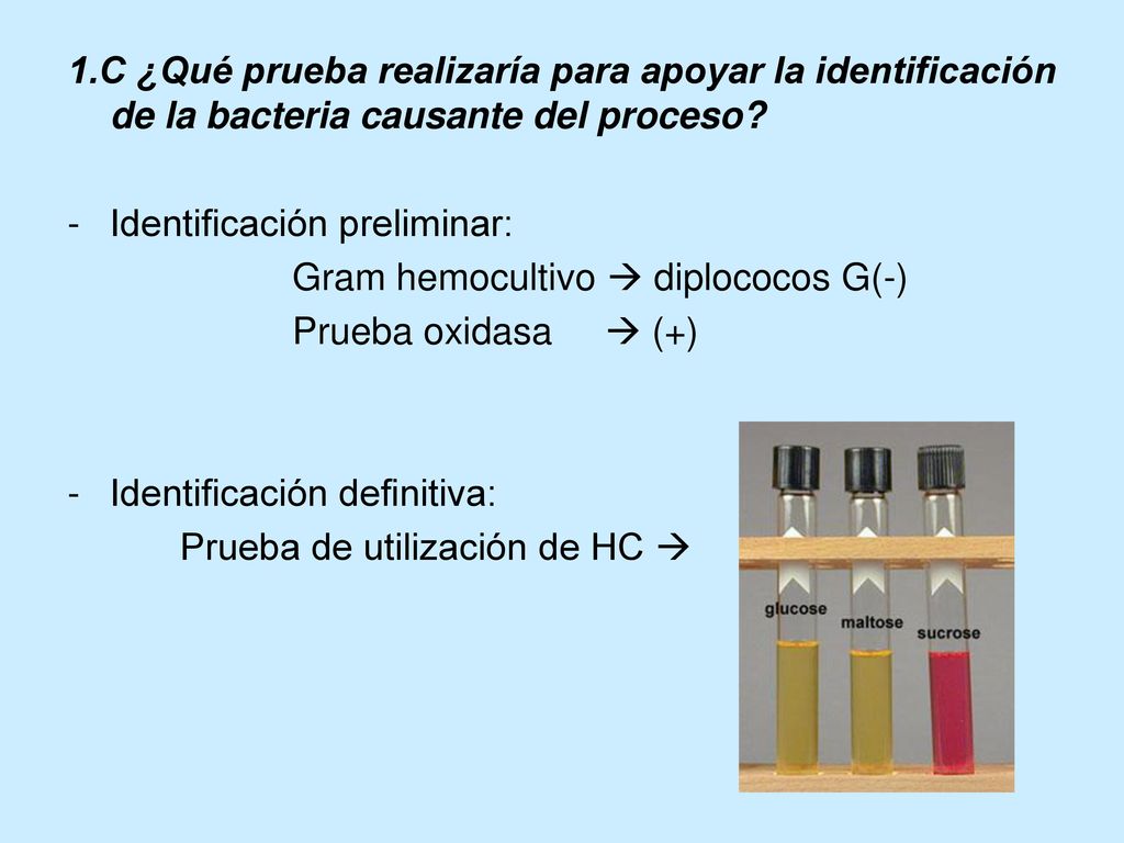 1.C ¿Qué prueba realizaría para apoyar la identificación de la bacteria causante del proceso