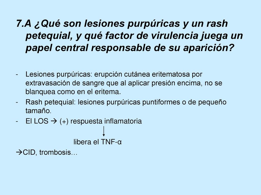 7.A ¿Qué son lesiones purpúricas y un rash petequial, y qué factor de virulencia juega un papel central responsable de su aparición