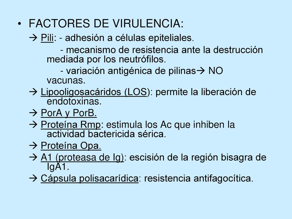 FACTORES DE VIRULENCIA:  Pili: - adhesión a células epiteliales.
