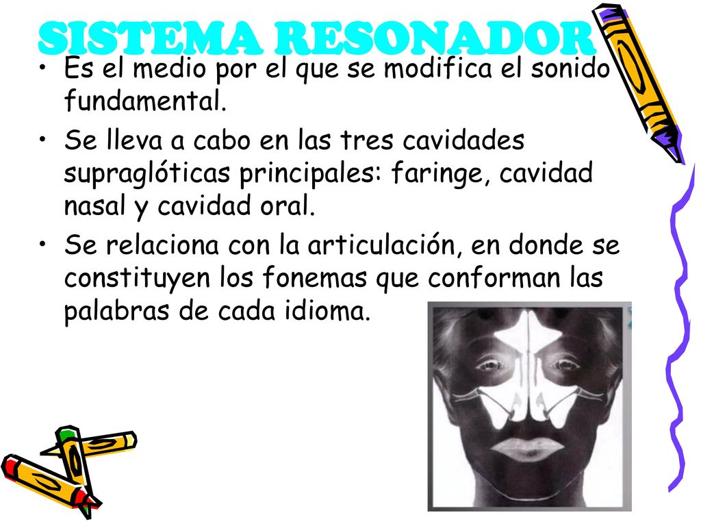 SISTEMA RESONADOR Es el medio por el que se modifica el sonido fundamental.