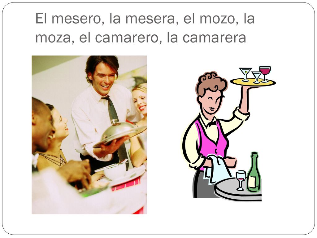 El mesero, la mesera, el mozo, la moza, el camarero, la camarera
