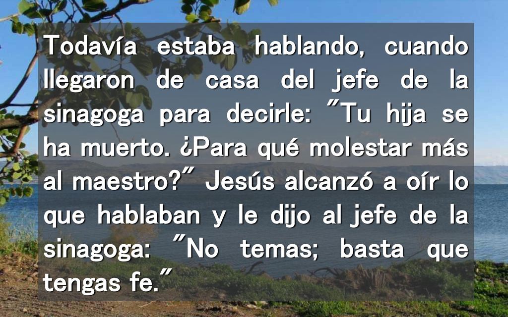 Todavía estaba hablando, cuando llegaron de casa del jefe de la sinagoga para decirle: Tu hija se ha muerto.