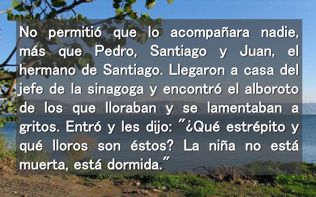 No permitió que lo acompañara nadie, más que Pedro, Santiago y Juan, el hermano de Santiago.