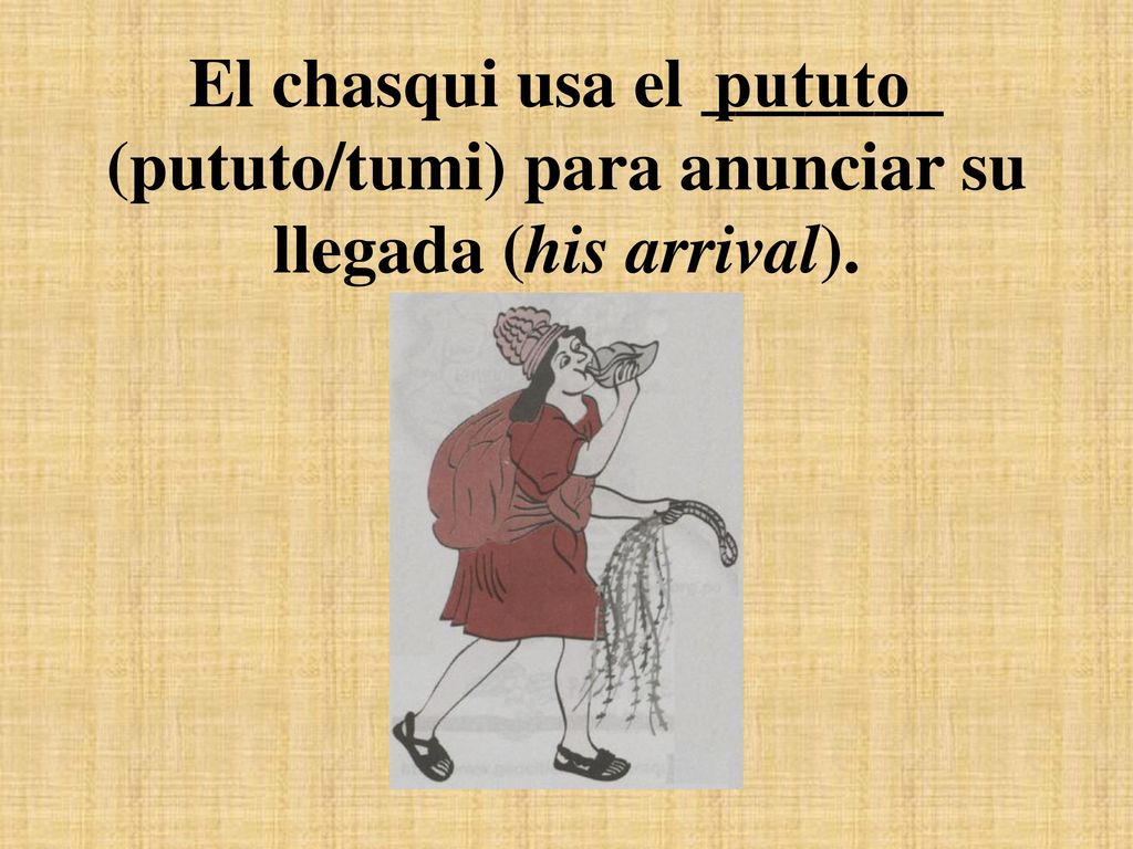 El chasqui usa el _______ (pututo/tumi) para anunciar su llegada (his arrival).