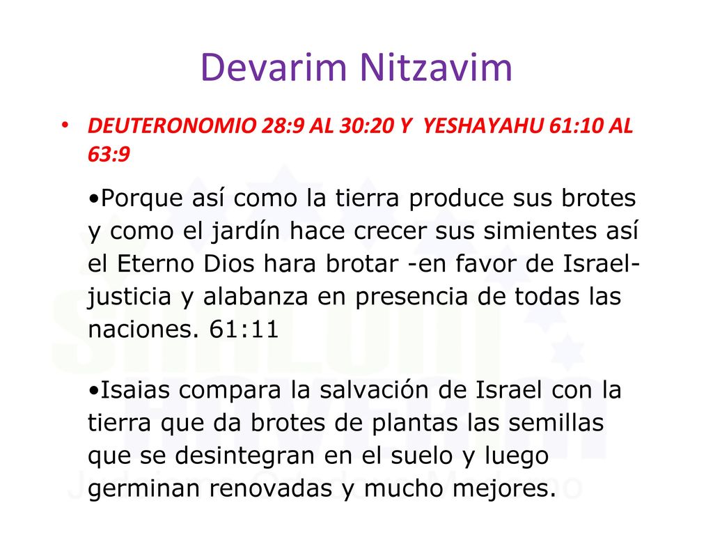 Devarim Nitzavim DEUTERONOMIO 28:9 AL 30:20 Y YESHAYAHU 61:10 AL 63:9