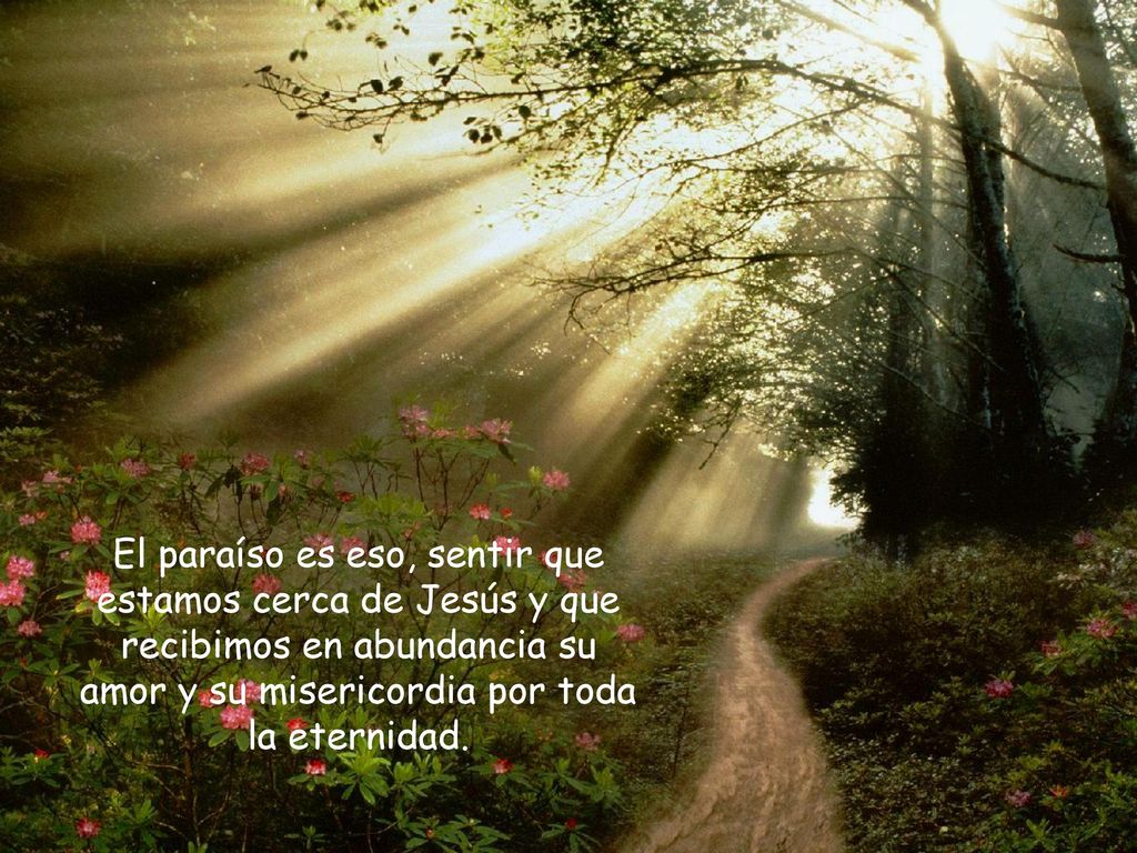 El paraíso es eso, sentir que estamos cerca de Jesús y que recibimos en abundancia su amor y su misericordia por toda la eternidad.