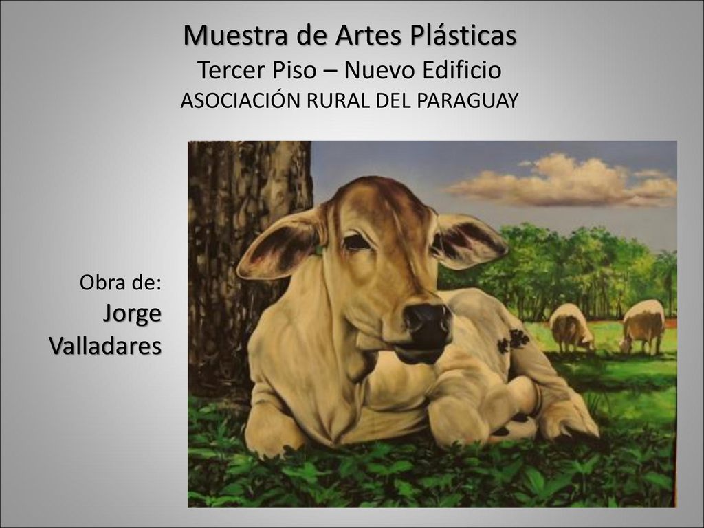 Muestra de Artes Plásticas Tercer Piso – Nuevo Edificio ASOCIACIÓN RURAL DEL PARAGUAY