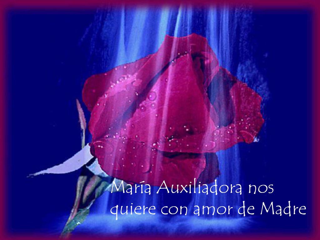 María Auxiliadora nos quiere con amor de Madre