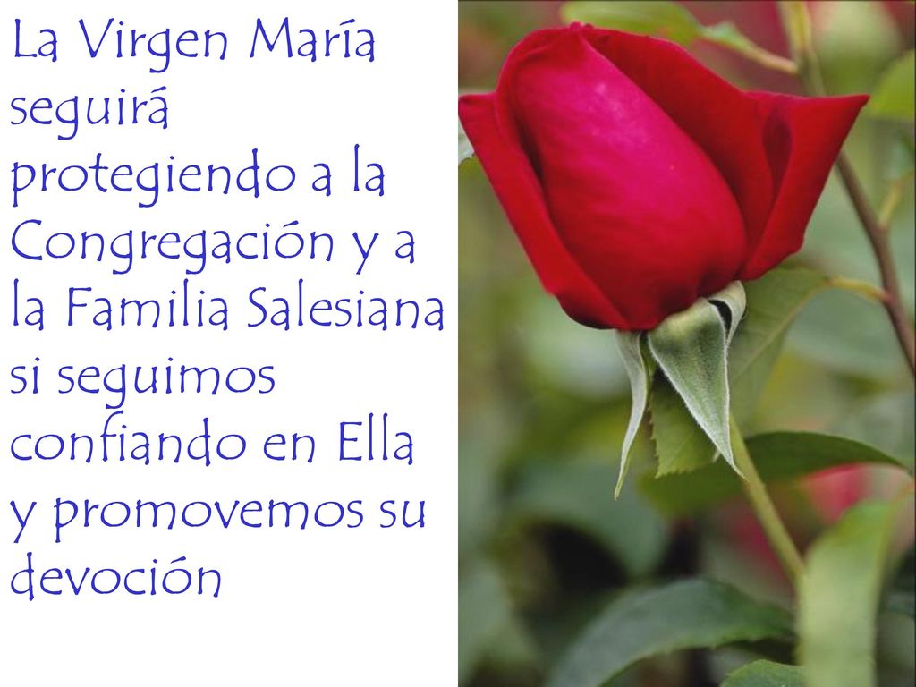 La Virgen María seguirá protegiendo a la Congregación y a la Familia Salesiana si seguimos confiando en Ella y promovemos su devoción