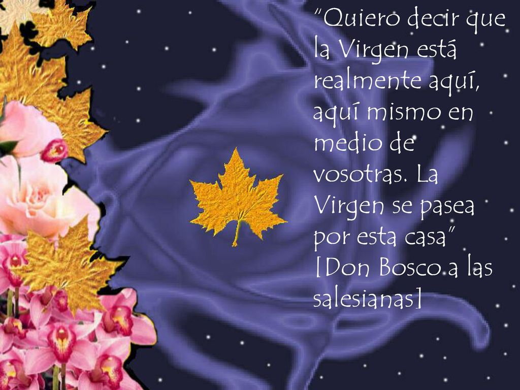 Quiero decir que la Virgen está realmente aquí, aquí mismo en medio de vosotras.