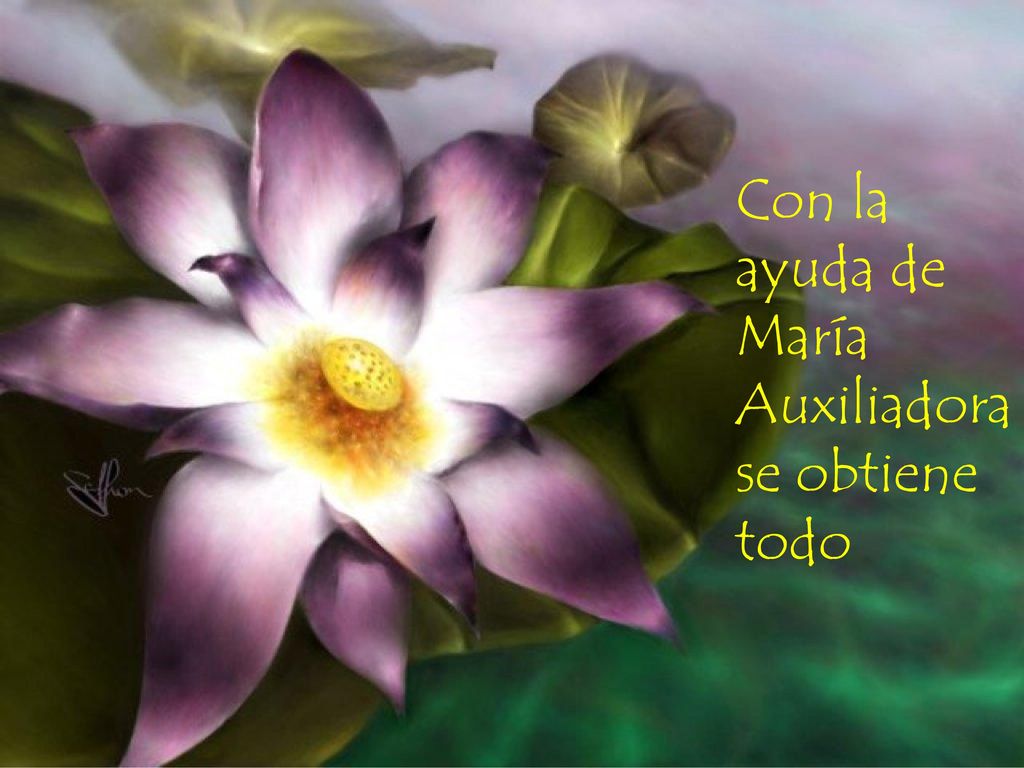 Con la ayuda de María Auxiliadora se obtiene todo