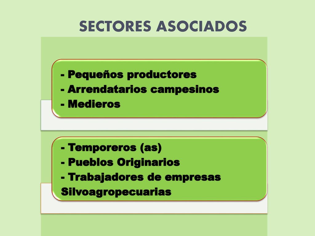 SECTORES ASOCIADOS - Pequeños productores - Arrendatarios campesinos
