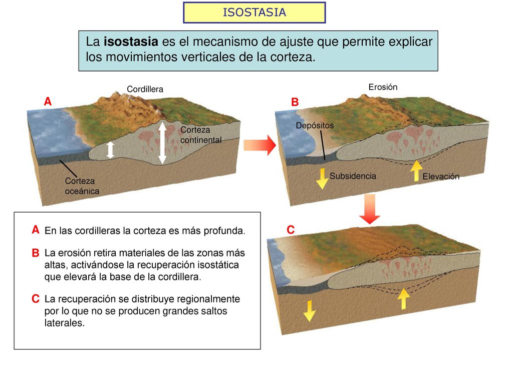 ISOSTASIA La isostasia es el mecanismo de ajuste que permite explicar los movimientos verticales de la corteza.