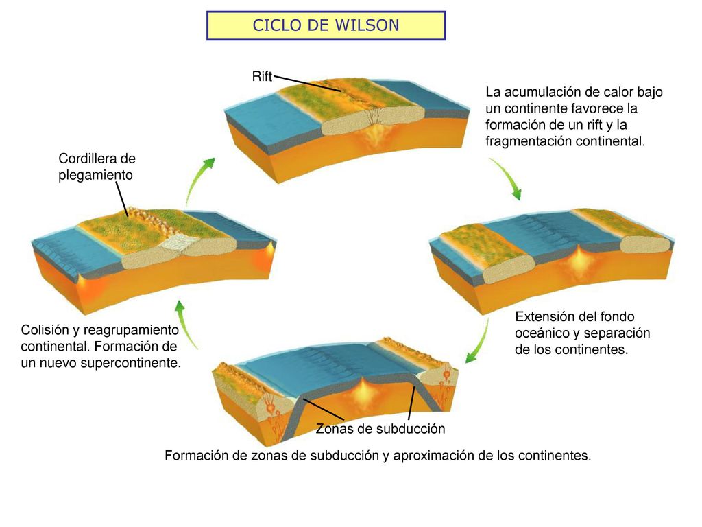 CICLO DE WILSON Rift. La acumulación de calor bajo un continente favorece la formación de un rift y la fragmentación continental.