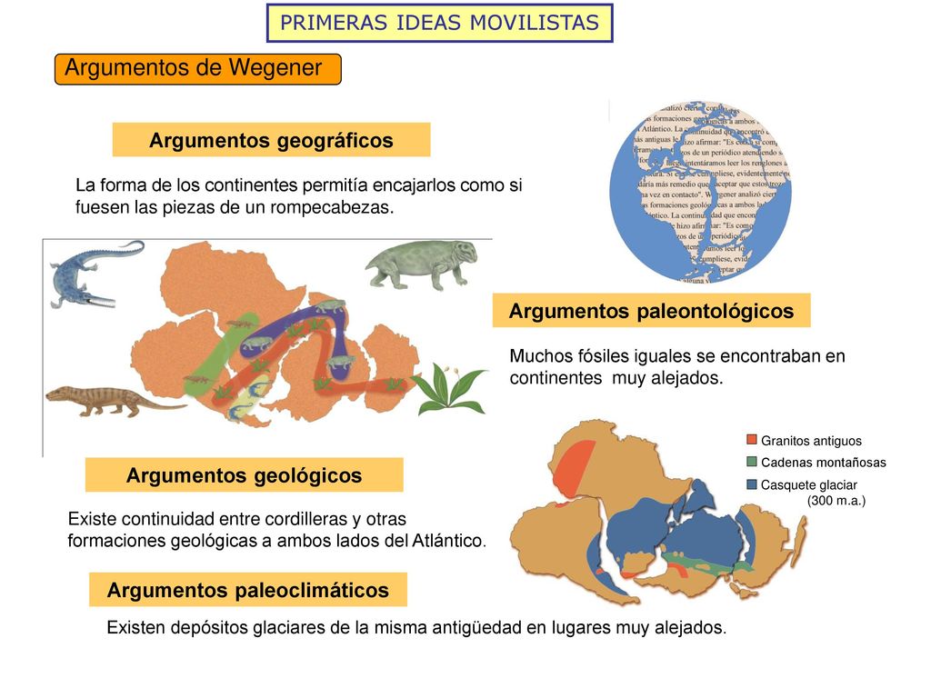 Argumentos de Wegener PRIMERAS IDEAS MOVILISTAS Argumentos geográficos