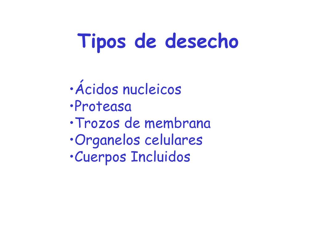 Tipos de desecho Ácidos nucleicos Proteasa Trozos de membrana
