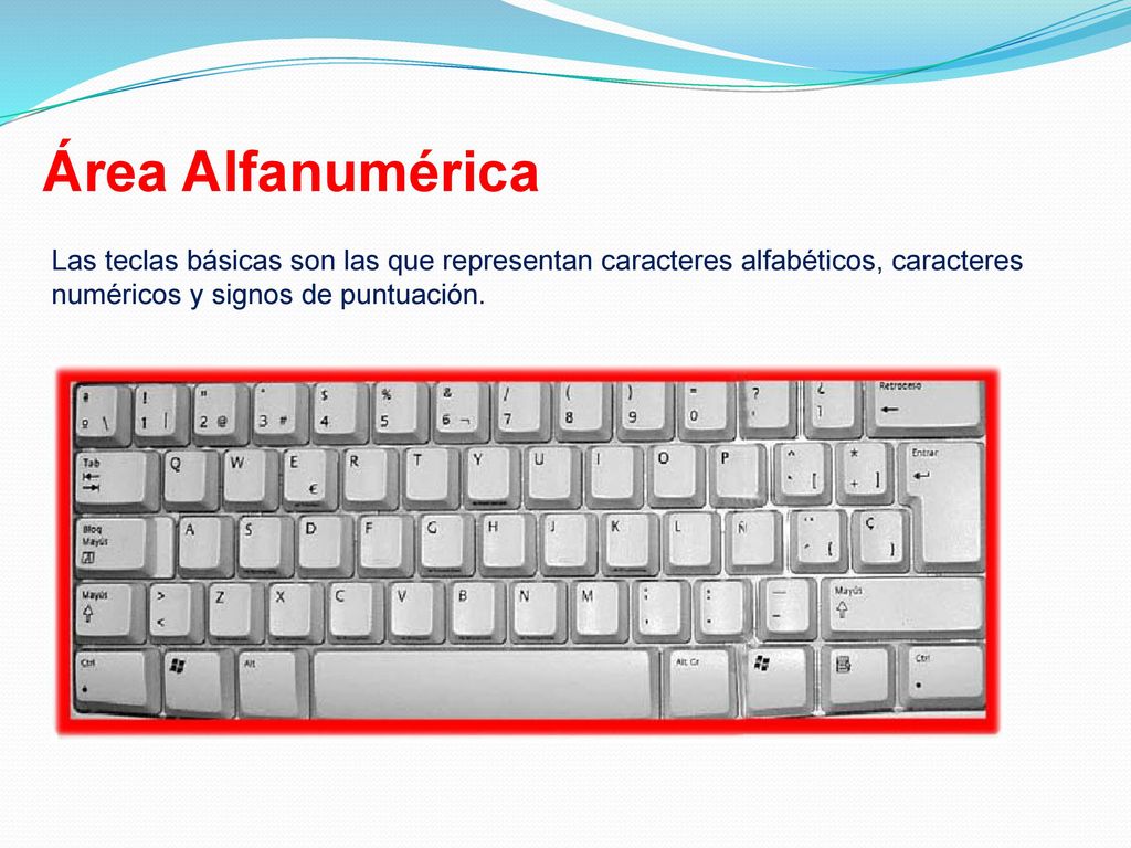 Área Alfanumérica Las teclas básicas son las que representan caracteres alfabéticos, caracteres numéricos y signos de puntuación.
