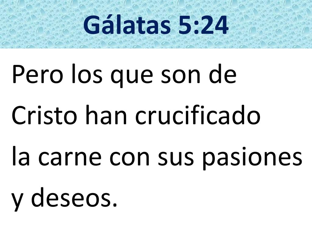 Gálatas 5:24 Pero los que son de Cristo han crucificado la carne con sus pasiones y deseos.