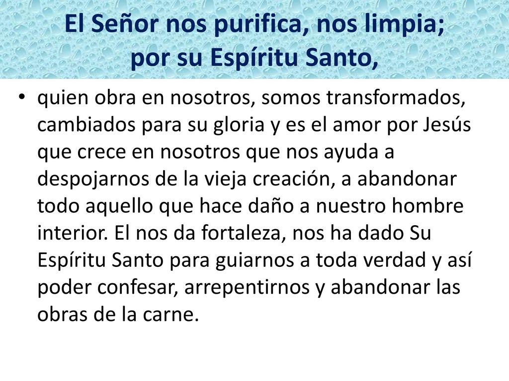 El Señor nos purifica, nos limpia; por su Espíritu Santo,