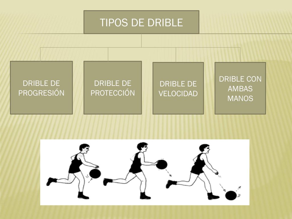 TIPOS DE DRIBLE DRIBLE DE PROGRESIÓN DRIBLE DE PROTECCIÓN
