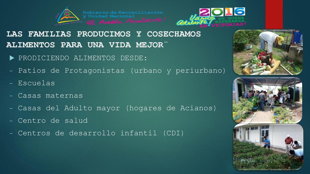 LAS FAMILIAS PRODUCIMOS Y COSECHAMOS ALIMENTOS PARA UNA VIDA MEJOR¨