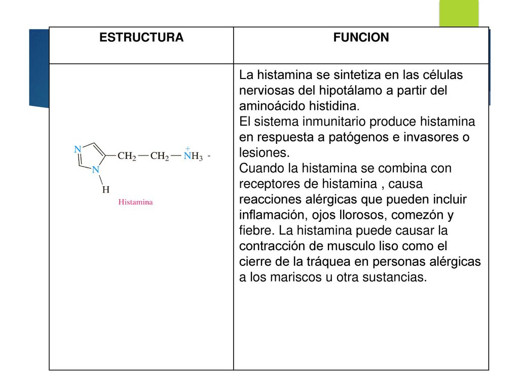 ESTRUCTURA FUNCION. La histamina se sintetiza en las células nerviosas del hipotálamo a partir del aminoácido histidina.