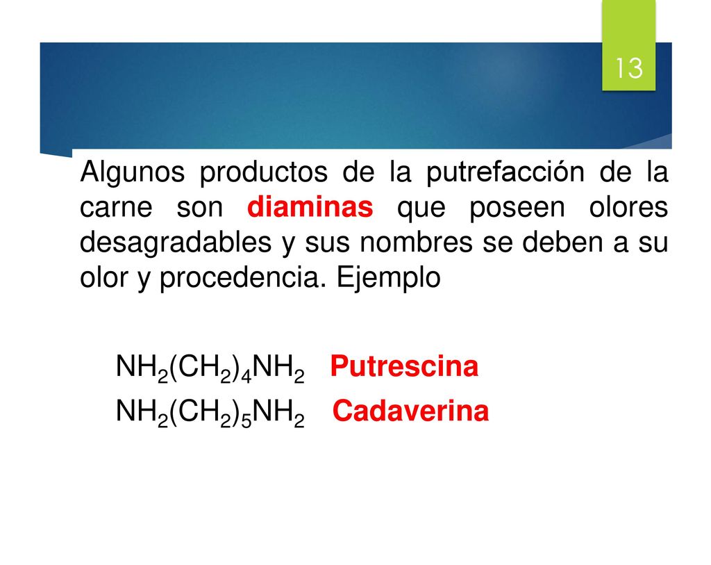 Algunos productos de la putrefacción de la carne son diaminas que poseen olores desagradables y sus nombres se deben a su olor y procedencia.