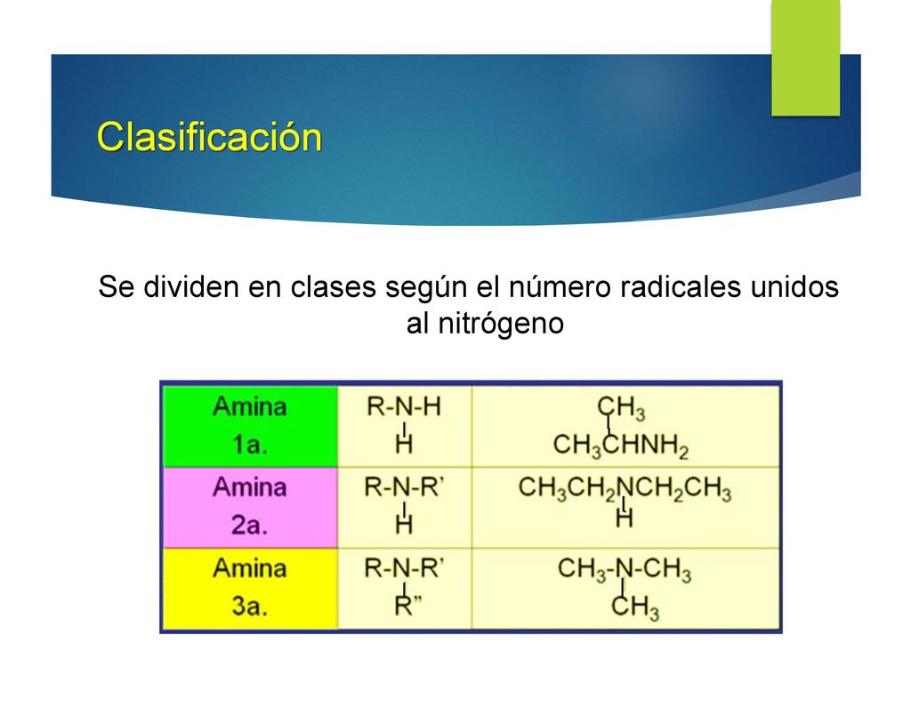 Se dividen en clases según el número radicales unidos al nitrógeno