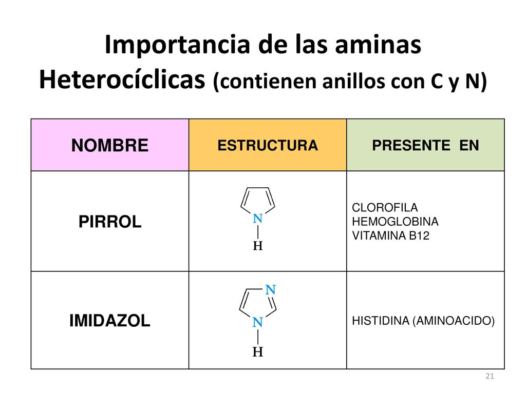 Importancia de las aminas Heterocíclicas (contienen anillos con C y N)