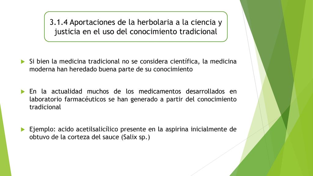 3.1.4 Aportaciones de la herbolaria a la ciencia y justicia en el uso del conocimiento tradicional