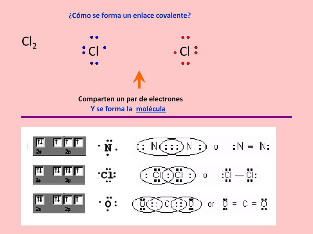 Cl2 Cl Cl ¿Cómo se forma un enlace covalente
