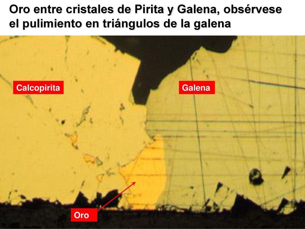 Oro entre cristales de Pirita y Galena, obsérvese el pulimiento en triángulos de la galena
